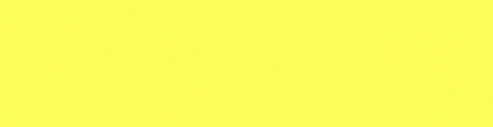 VISHU